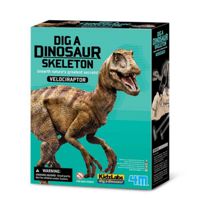 4M | Velociraptor Skeleton Excavation | 48613234