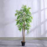 DANUBE | Bamboo 6 Rod150 Group Lvs Potted Plant 210Cm | 231202709858