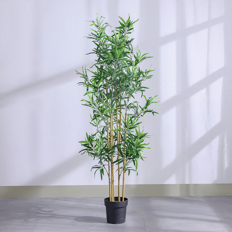 DANUBE | Bamboo 183 Lvs Potted Plant 145Cm | 231202709859