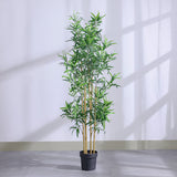 DANUBE | Bamboo 183 Lvs Potted Plant 145Cm | 231202709859