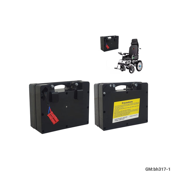 Wheel Chair battery | bh317-1