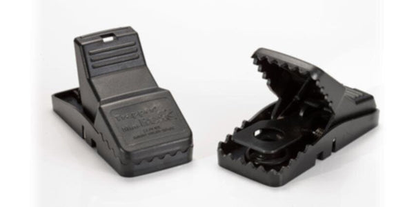 BELL | Trapper Mini Rex Box of 24 | BELL0010-ST2024