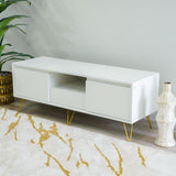 DANUBE | Vesta TV Unit Up to 50 Inches White With Storage | 810300300268