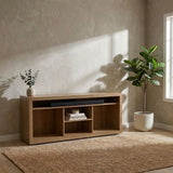 DANUBE | Zoyi TV Unit Up to 55