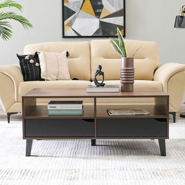 DANUBE | Jilly 2 Drawer Coffee Table Columbia Black | 810302600283