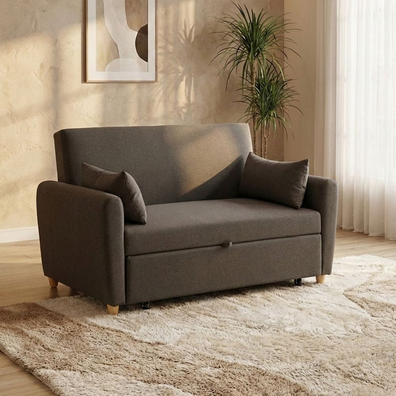 DANUBE | Alpha 2 Seater Fabric Sofa Bed | 810401102071