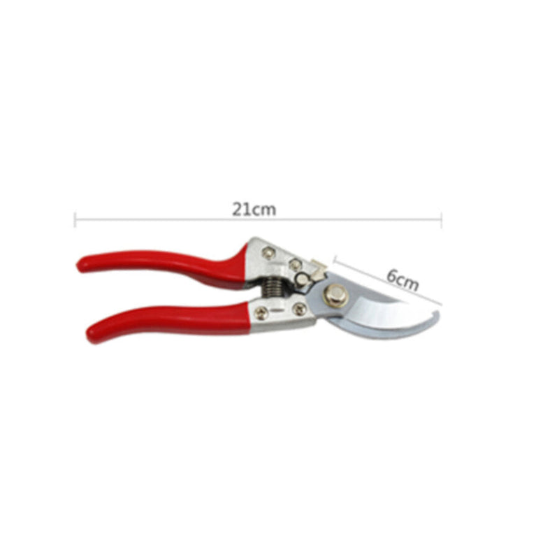 Horticultural Plant Scissors 21cm